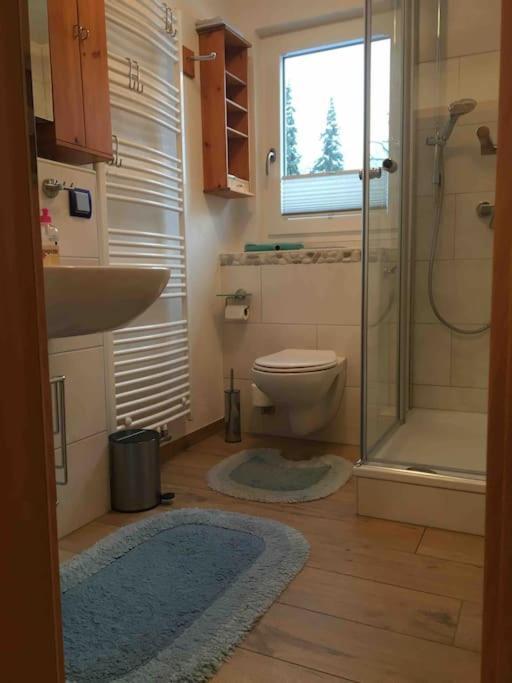 Ferienwohnung Apartment Doppelzimmer In Der Villa Naturpark Rheinblick, Ruhig, Aussicht, Pool Coblence Extérieur photo