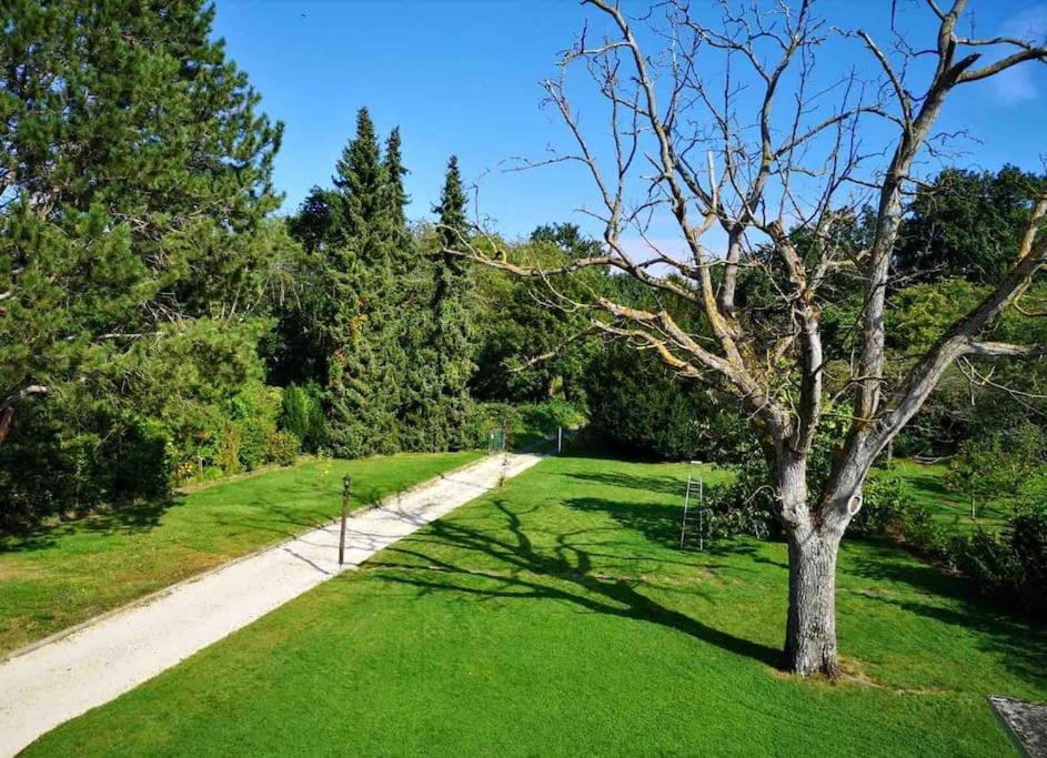 Ferienwohnung Apartment Doppelzimmer In Der Villa Naturpark Rheinblick, Ruhig, Aussicht, Pool Coblence Extérieur photo