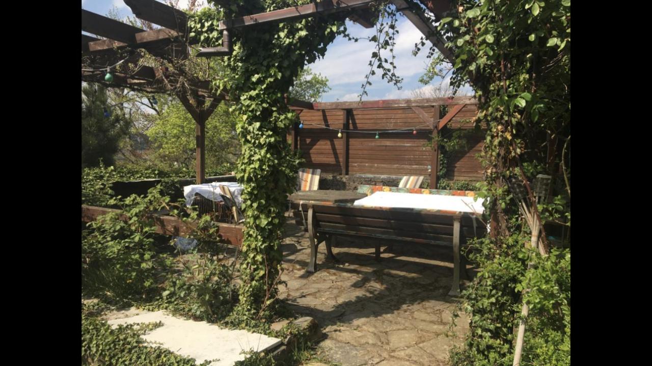 Ferienwohnung Apartment Doppelzimmer In Der Villa Naturpark Rheinblick, Ruhig, Aussicht, Pool Coblence Extérieur photo